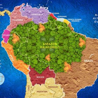 Amazon Rainforest Map Wallpaper Mural