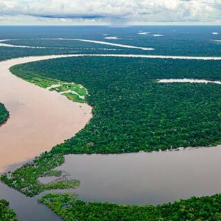 Amazon River Wallpaper Mural