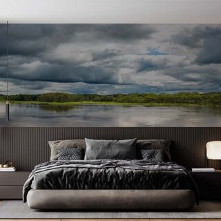 Amazonia, Amazon River Scenery Wallpaper Mural