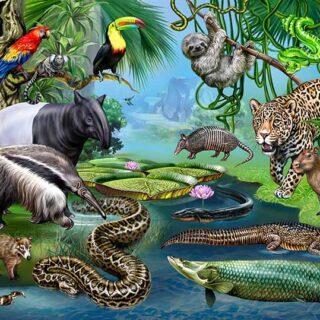 Animals of Amazon Rainforest Wallpaper Mural