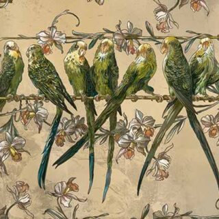 Kokil, Playful Parrots on A Branch Wallpaper Mural