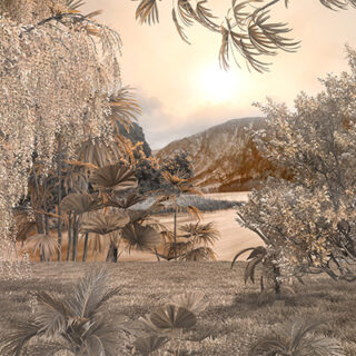 Nisarg, Jungle Scenery Landscape Wallpaper Mural