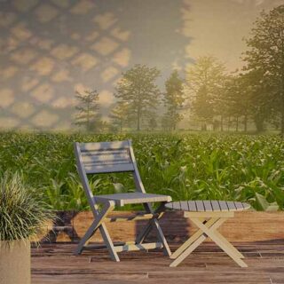 Khet, Misty Sunrise Village Field Scenery Wallpaper Mural