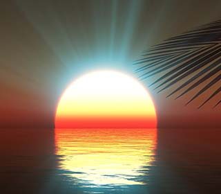 Lukka Chuppi, Sunset Sea Palm Landscape Wallpaper Mural