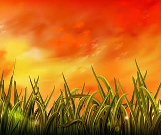 Rashmirathi, Orange Sunrise Sky Wallpaper Mural