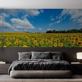Suryamukhi, Beautiful Sunflower Field Scenery Wallpaper Mural