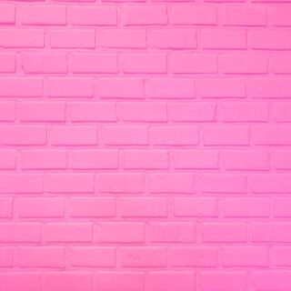 Pink Brick Whispering Serenity Wallpaper Mural