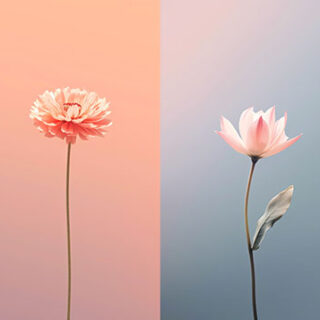Dreamy Gradient Pastel Flower Pattern Wallpaper Mural