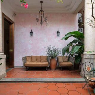 Gul, Beautiful Sakura Blossoms Wallpaper Mural