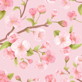Hana, Realistic Pastel Pink Sakura Blossom Wallpaper Mural