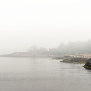 Nordic Bliss, Foggy Morning Scenery Wallpaper Mural