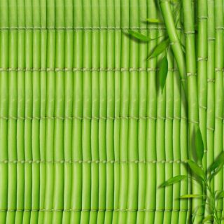 Feng Shui Bamboo Sanctuary Flow Wallpaper Mural