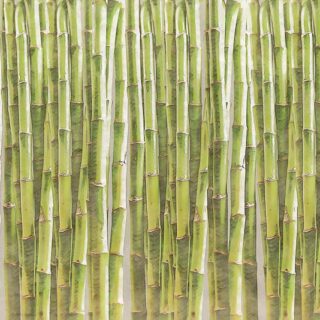 Feng Shui Green Bamboo Balance Wall Wallpaper Mural