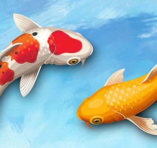 Feng Shui Koi Prosperity Flow Wallpaper Mural