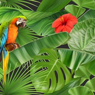 Mai Tota, Realistic Jungle Leaves and Parrot Wallpaper Mural