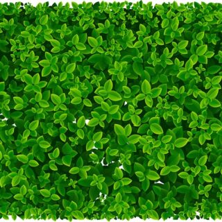 Pattika, Realistic Leaf Pattern Wallpaper Mural