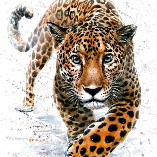 Pehle Jaguar Lelo, Realistic Jaguar Painting Wallpaper Mural