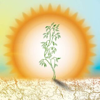 Sooraj, Realistic Glowing Sun Wallpaper Mural