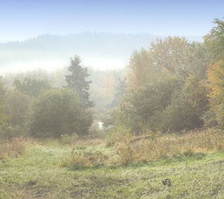 Kohra, Foggy Landscape Wallpaper Mural