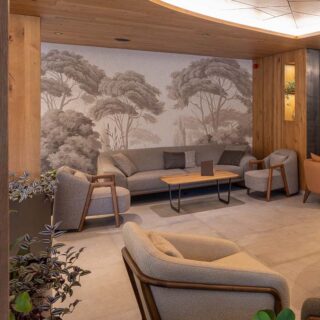 Rahat, Old Forest Trees Wallpaper Mural