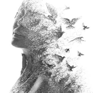 Paintography, Portrait Combined With Painting Wallpaper