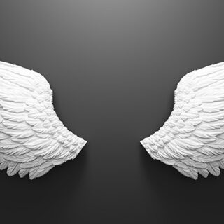 Serene White Angel Wings Wallpaper Mural