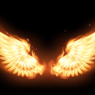 Wings on Fire Wallpaper Mural