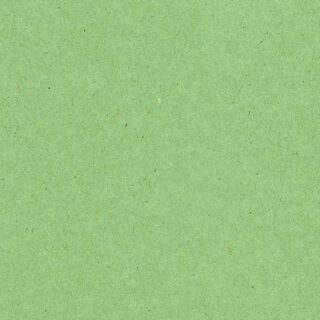 Realistic Pista Green Paper Texture Mural Wallpaper