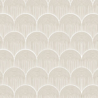 Modern Concentric Lines Pattern Wallpaper Mural