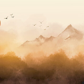 Go-Hua Sunrise Landscape With Misty Forest Wallpaper Mural