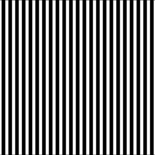 Black & White Bliss Striped Mural Wallpaper