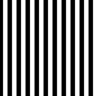 Timeless Black and White Vertical Stripes Wallpaper Mural