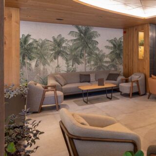 Palm Calm, Tropical Tranquility Forest Wallpaper Mural