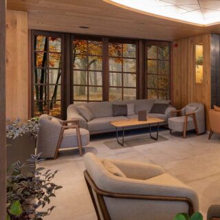 3D Window Forestscape Wallpaper Mural