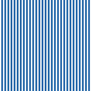 Elegant Vertical Blue and White Stripes Wallpaper Mural