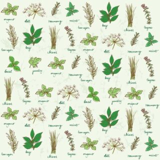Mint Green Color Fresh Herbs Pattern Wallpaper Mural