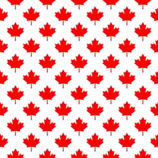 Canadian Whisper Maple Leaf Wallpaper Mural