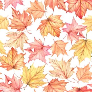 Watercolor Maple Majesty Wallpaper Mural