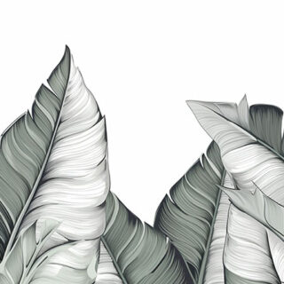 Exotic Green and White Banana Leaves Wallpaper Mural