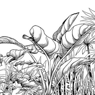 Obsidian Charm Exotic Tropical Plants Wallpaper Mural