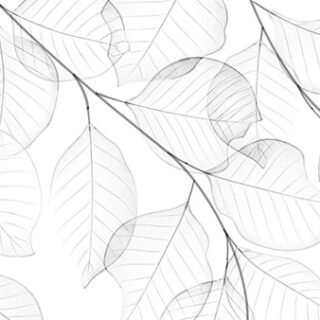 Smoky Shade Transparent Leaves Art Wallpaper Mural