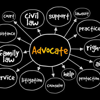 The Advocate's Shield Wallpaper Mural