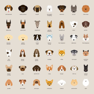 Breed Parade Wallpaper Mural