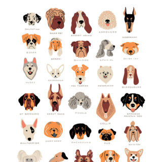 Dog Breeds Wallpaper Mural