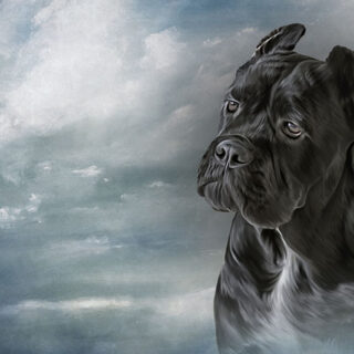 Noir Companion Black Dog Painting Wallpaper Mural