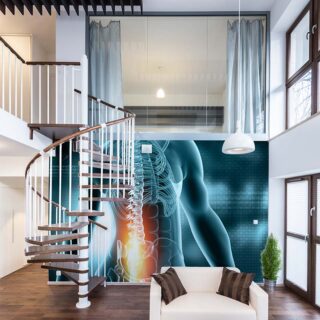 Physiotherapy Human Spine Mural Wallpaper