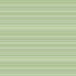 Delicate Green Stripe Wallpaper Mural