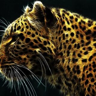 Leopard Digital Art Wallpaper Mural