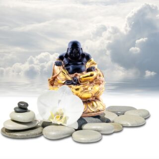 Feng Shui Laughing Buddha Wallpaper Mural