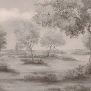 Beautiful Ancient Forest Landscape Wallpaper Mural